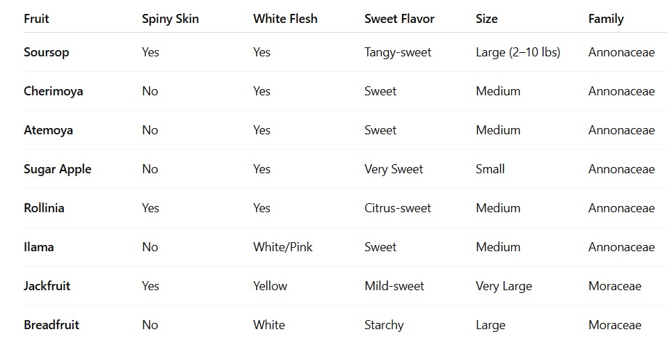 fruit that looks like soursop full list guide table of similarities and differences