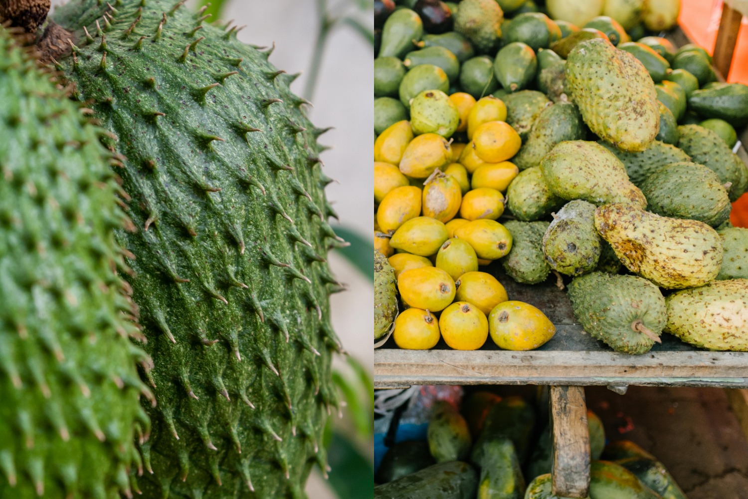 Does Soursop Make You Sleepy