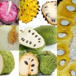 Fruits That Resemble Soursop: Unusual Cousins in the Tropical Produce Aisle