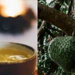 Soursop Tea How to Brew Drink and Is It Safe